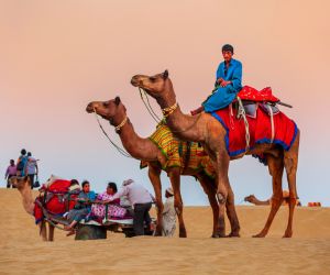 Historical Rajasthan Trip Day 4