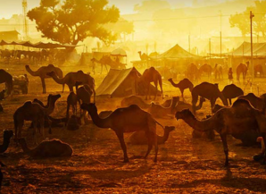 Places to visit in RAJASTHAN