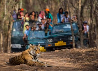 Jaipur, Udaipur, Mount Abu, Jodhpur & Jaisalmer Tour Packages